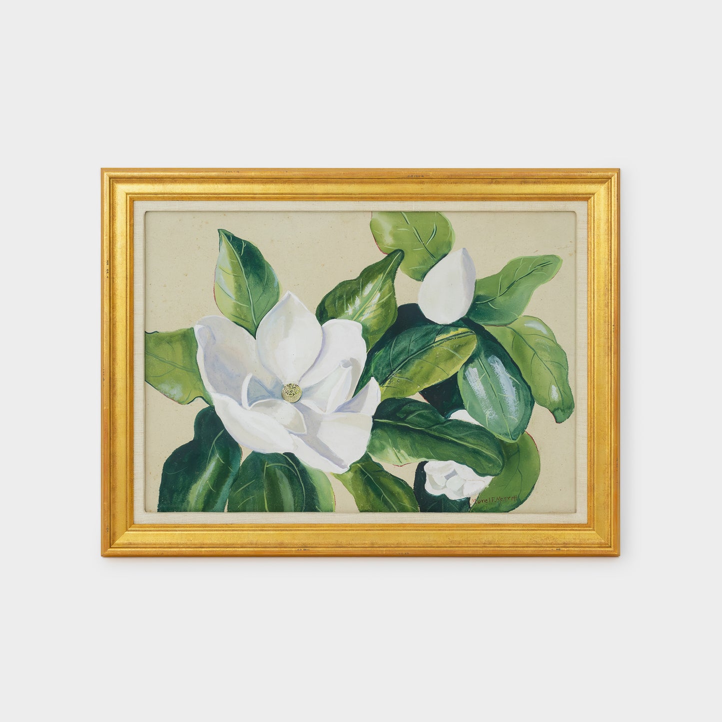 Magnolias Original Painting by Muriel F. Merritt