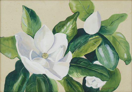 Magnolias Original Painting by Muriel F. Merritt