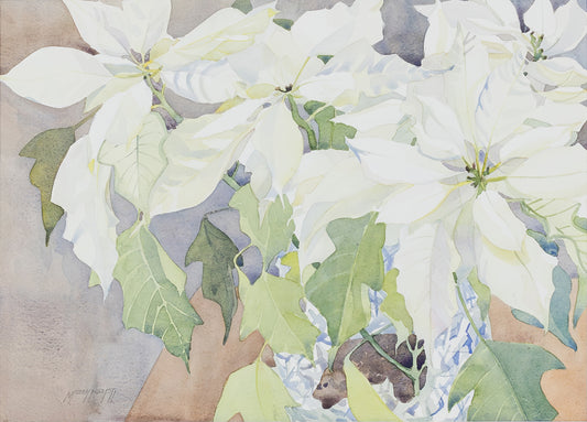 White Poinsettia Original Watercolor