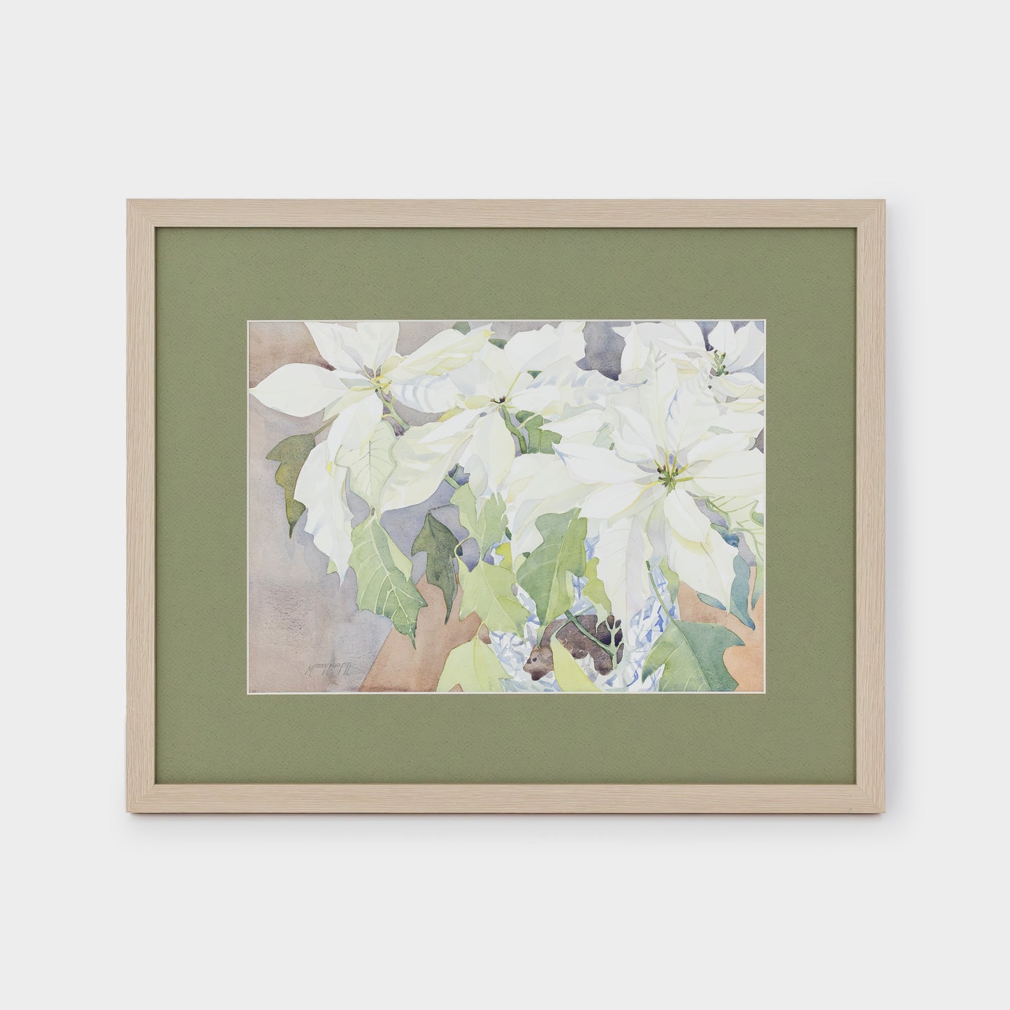 White Poinsettia Original Watercolor